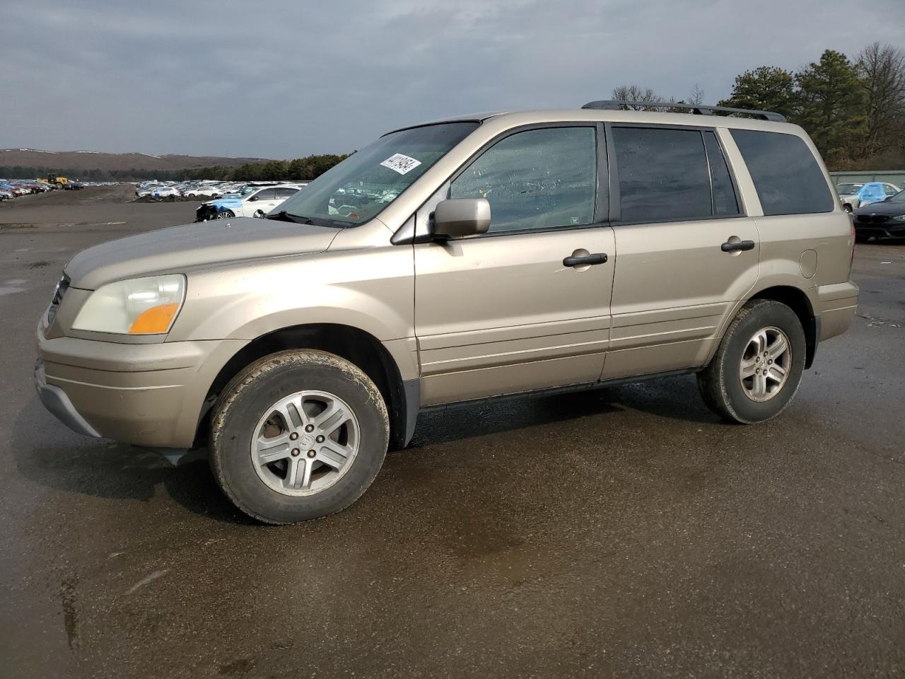 HONDA PILOT 2005 5fnyf18425b008902