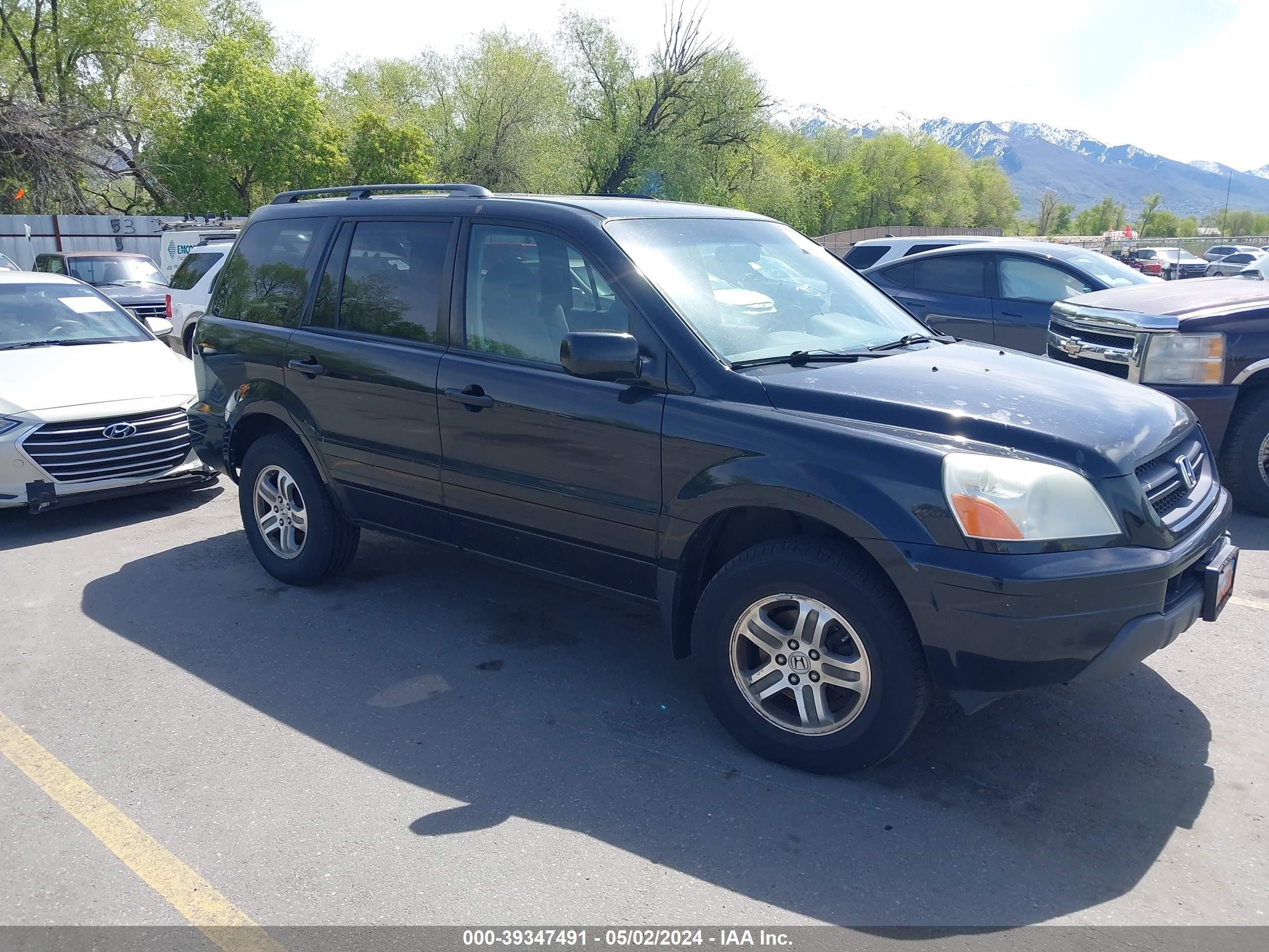 HONDA PILOT 2005 5fnyf18425b052074