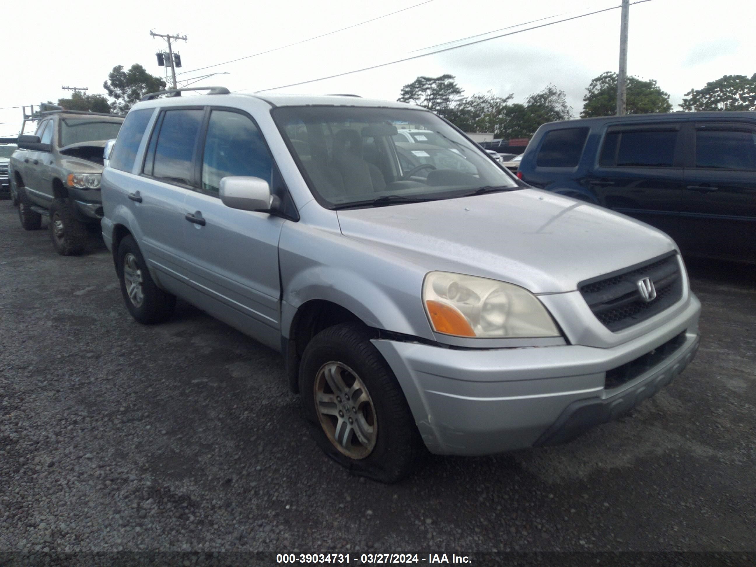 HONDA PILOT 2005 5fnyf18435b024039