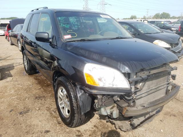 HONDA PILOT EX 2005 5fnyf18435b055744