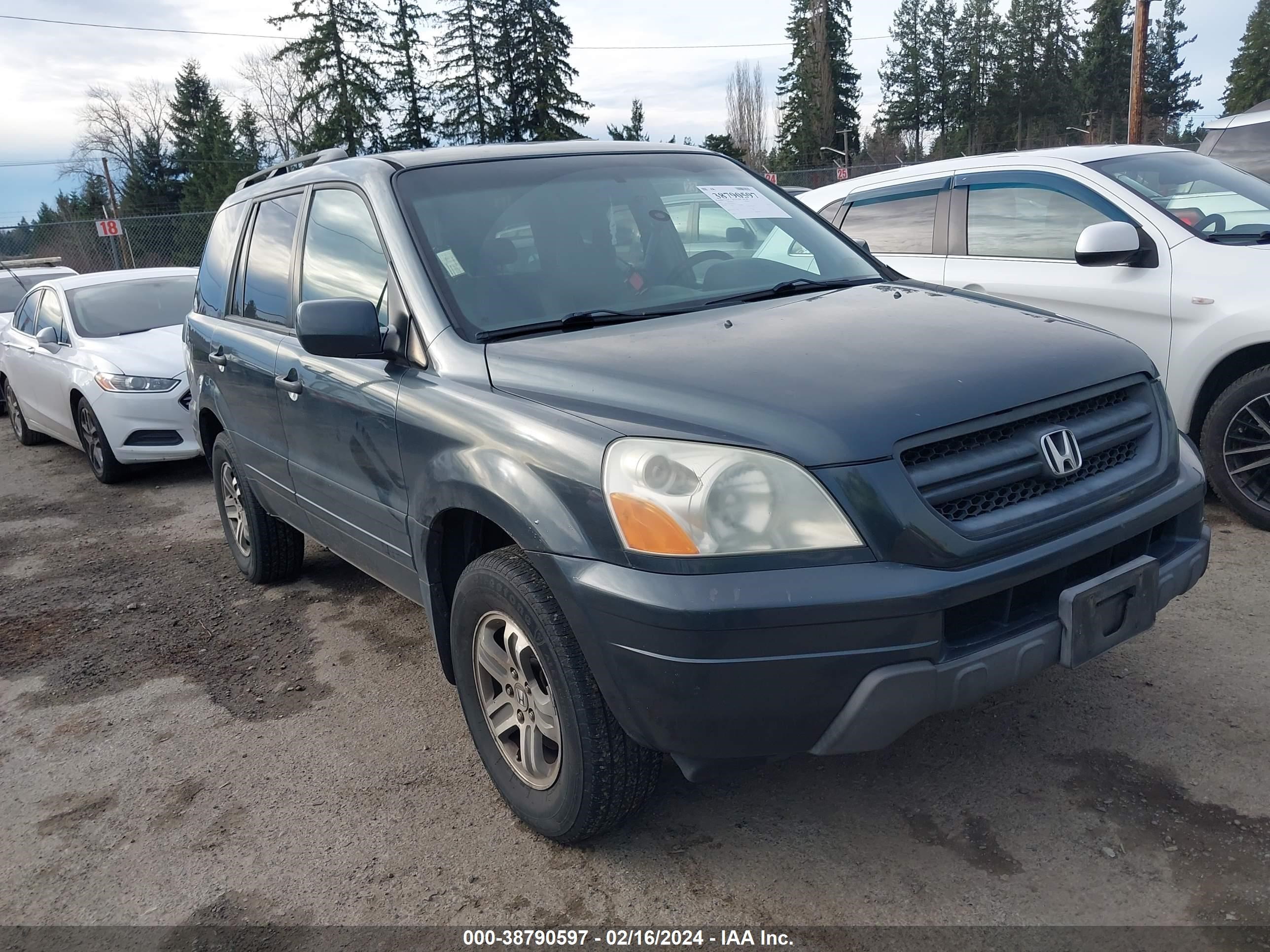 HONDA PILOT 2005 5fnyf18445b029752