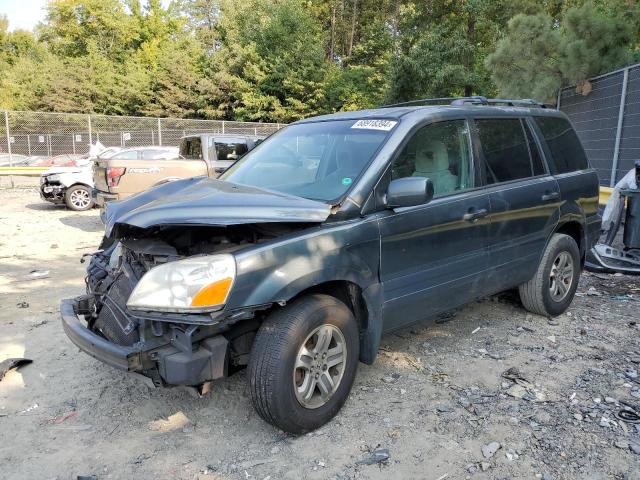 HONDA PILOT EX 2005 5fnyf18445b038354