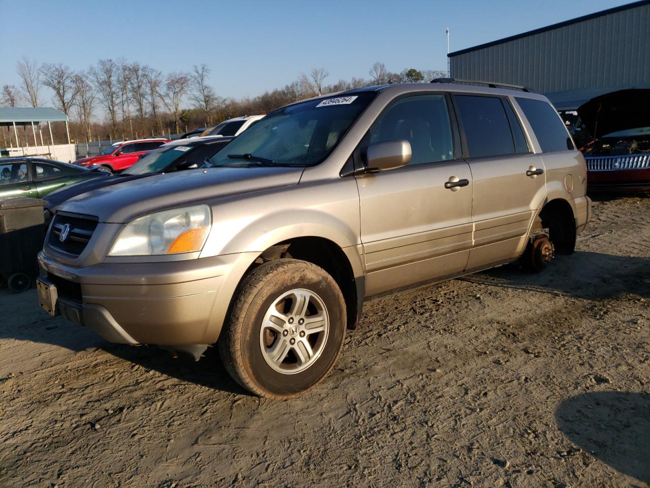 HONDA PILOT 2005 5fnyf18455b029288