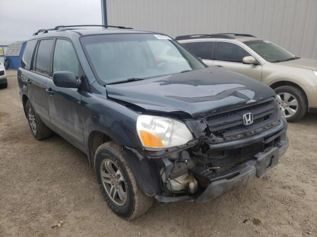 HONDA PILOT EX 2004 5fnyf18464b009307