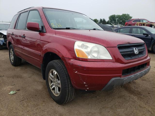 HONDA PILOT EX 2005 5fnyf18465b028781