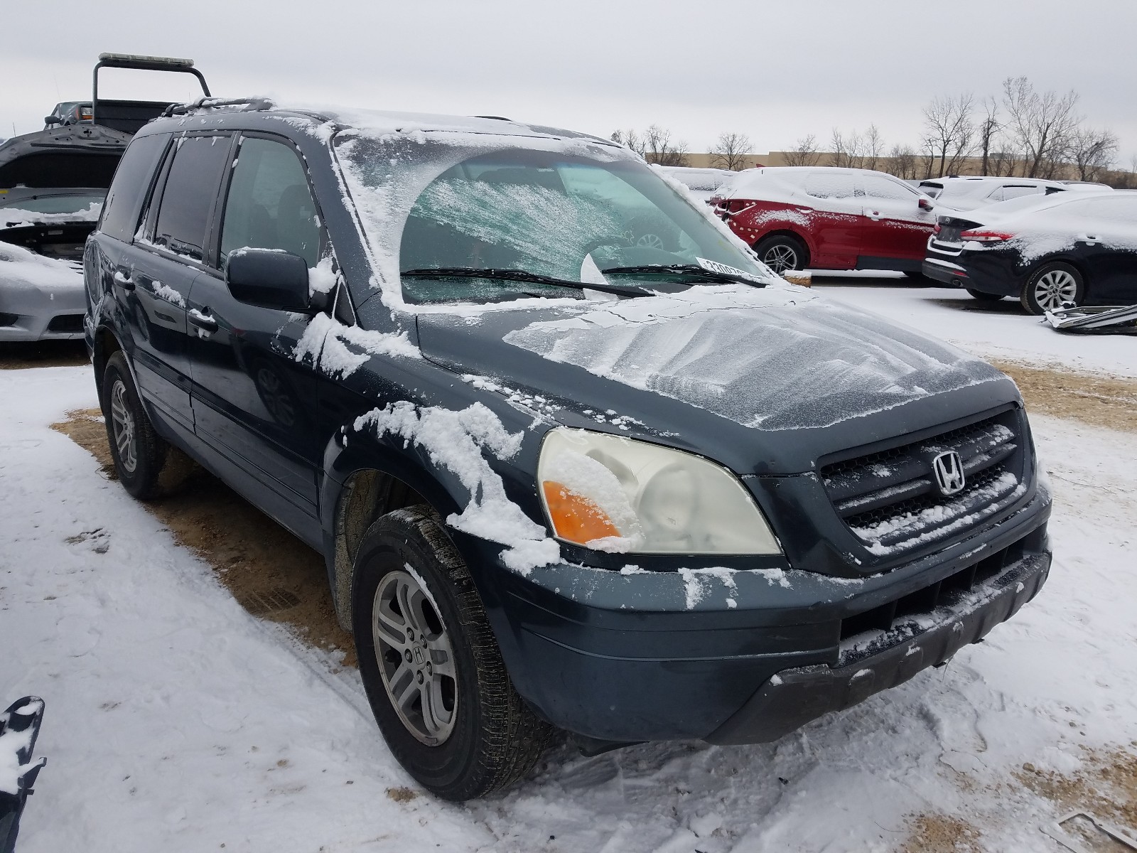 HONDA PILOT EX 2005 5fnyf18465b029722