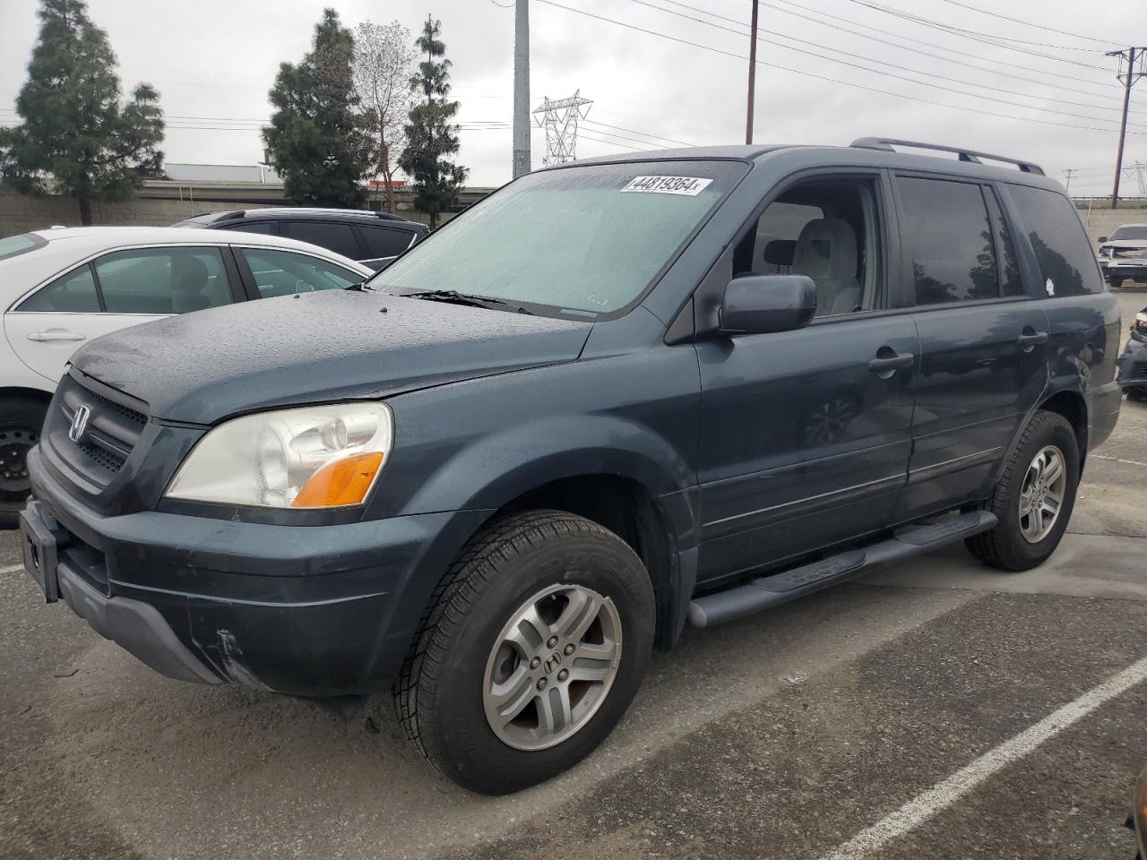 HONDA PILOT 2005 5fnyf18465b046391