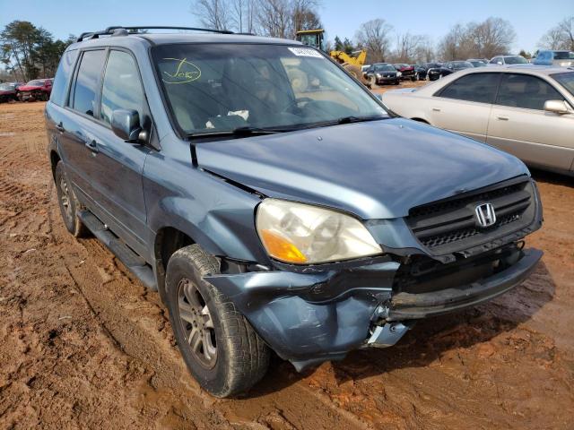 HONDA PILOT EX 2005 5fnyf18465b053521