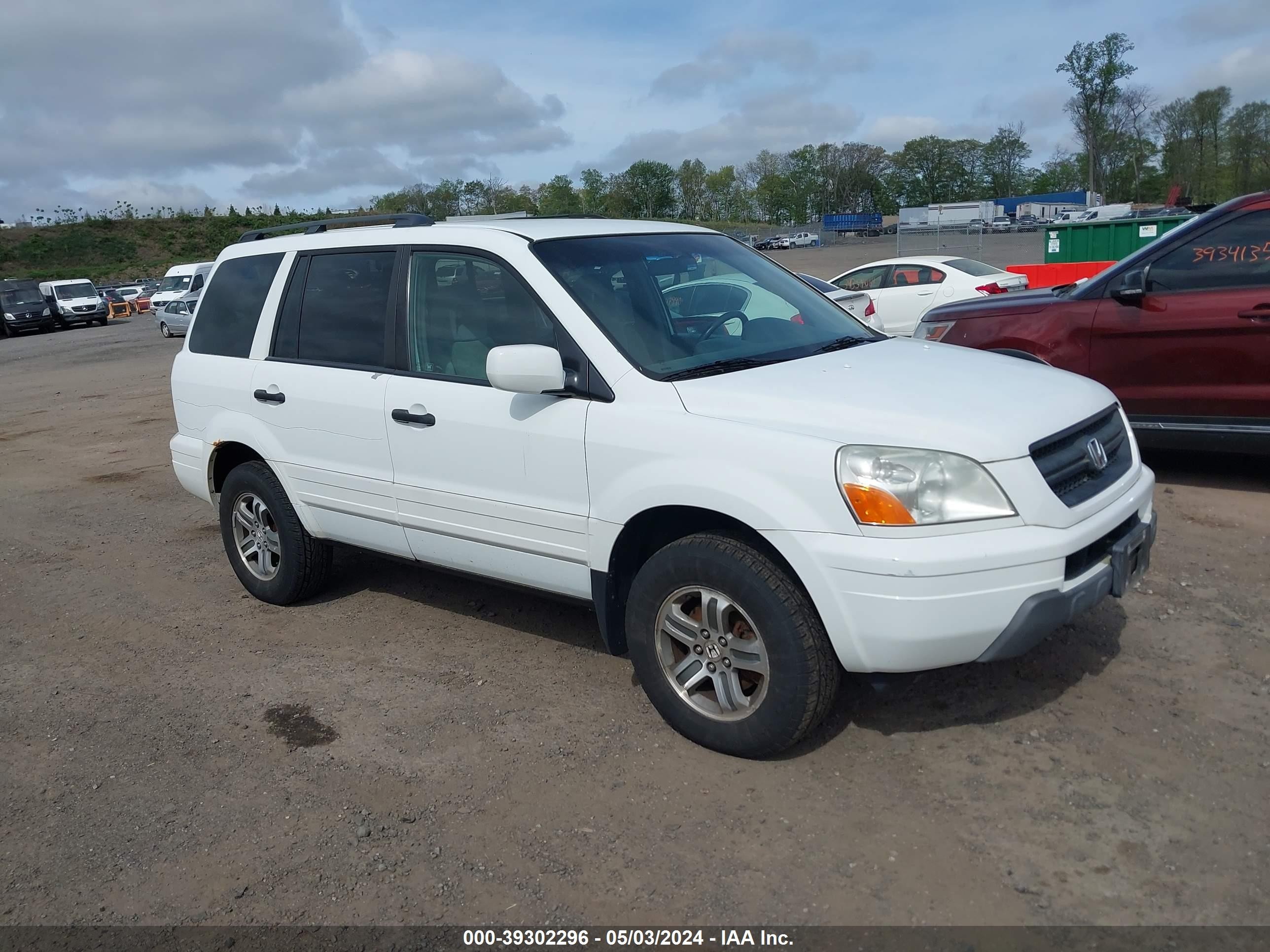 HONDA PILOT 2005 5fnyf18465b059593