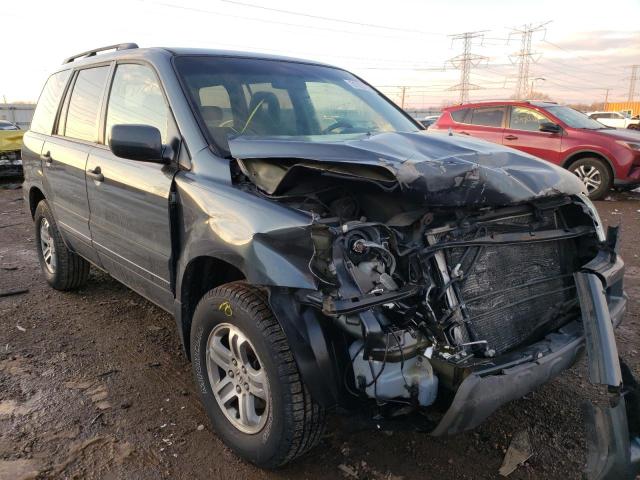 HONDA PILOT EX 2005 5fnyf18475b025596