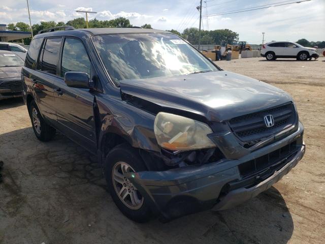 HONDA PILOT EX 2005 5fnyf18475b031060