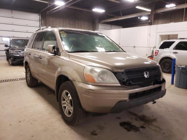 HONDA PILOT EX 2005 5fnyf18475b036081