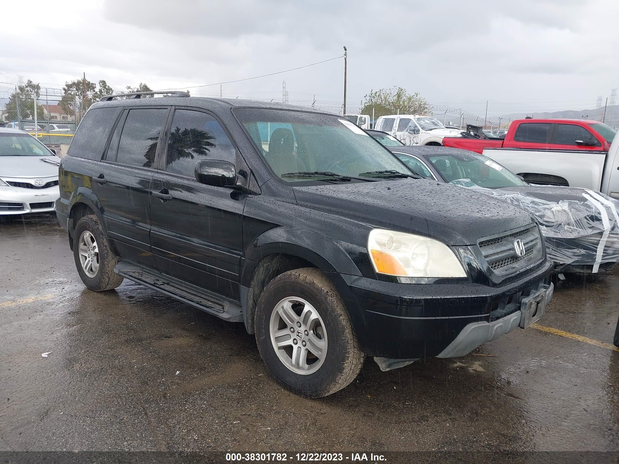 HONDA PILOT 2005 5fnyf18495b045865