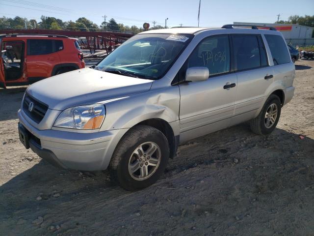 HONDA PILOT 2005 5fnyf184x5b061766