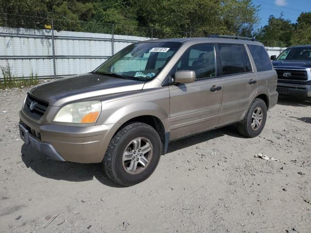 HONDA PILOT 2005 5fnyf18505b005182