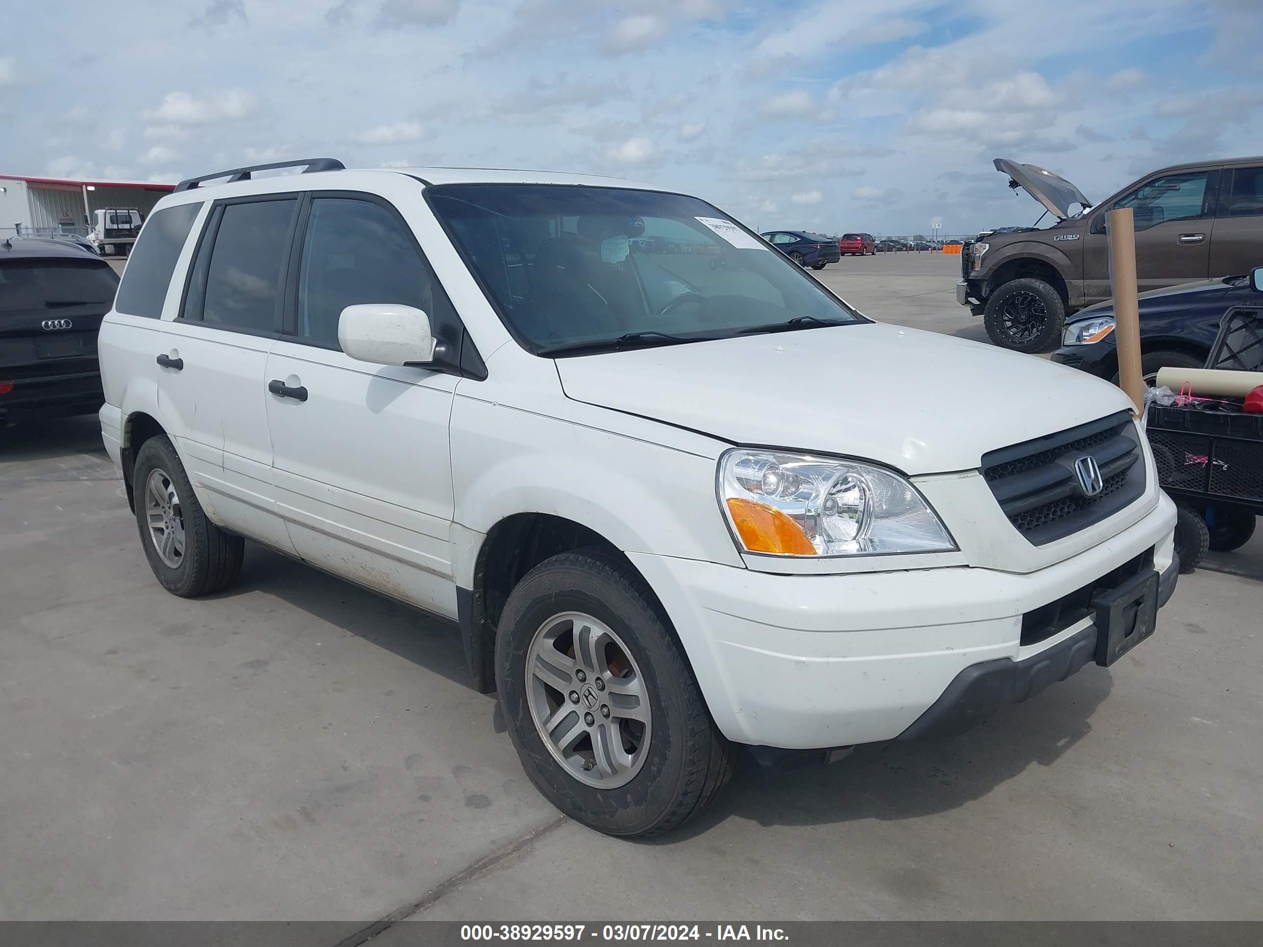 HONDA PILOT 2005 5fnyf18505b035363