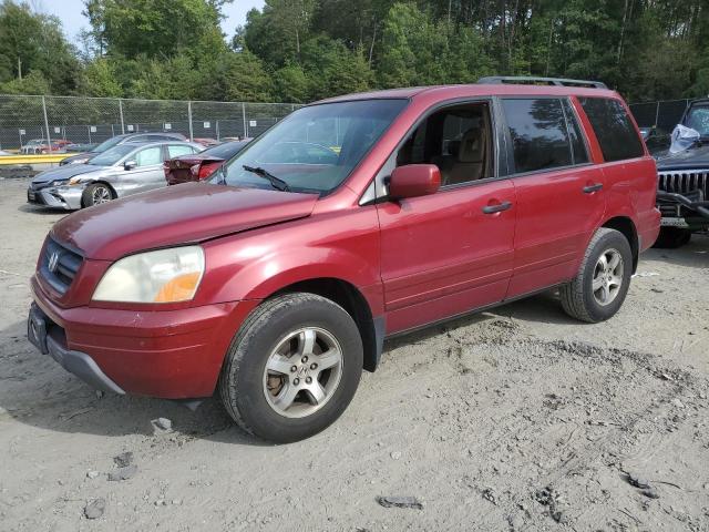 HONDA PILOT 2005 5fnyf18505b038070