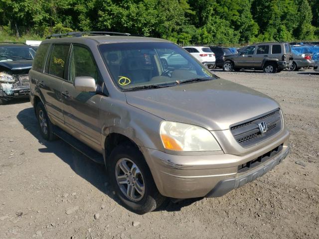 HONDA PILOT EXL 2005 5fnyf18505b042264