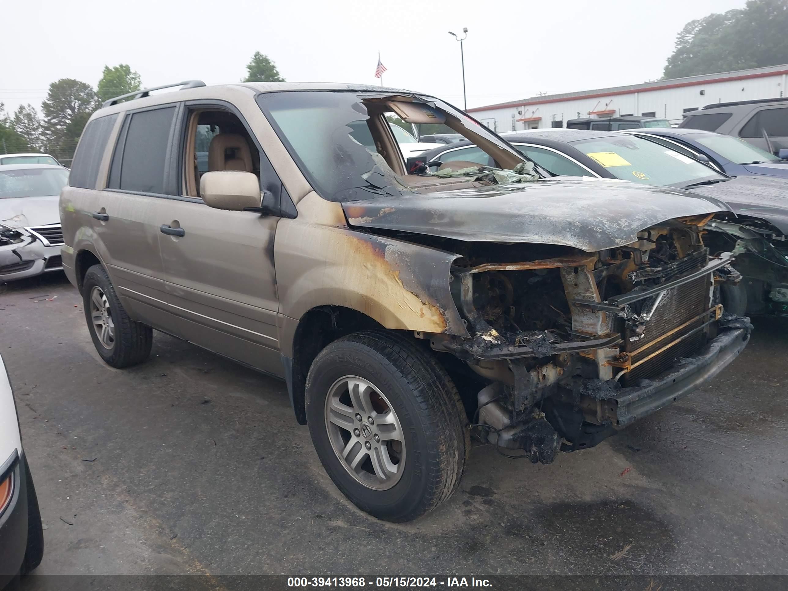 HONDA PILOT 2005 5fnyf18515b033962