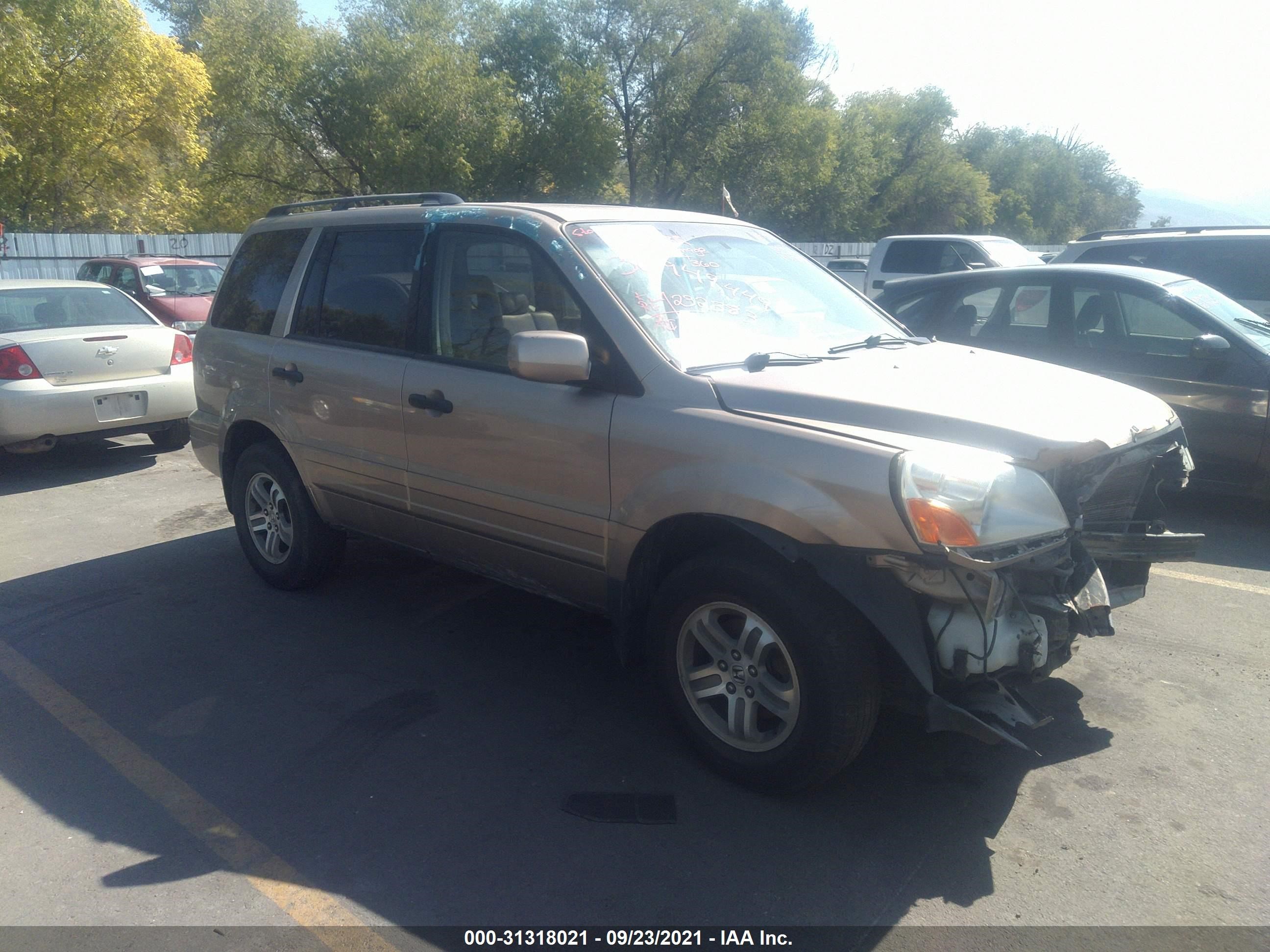 HONDA PILOT 2005 5fnyf18515b044847