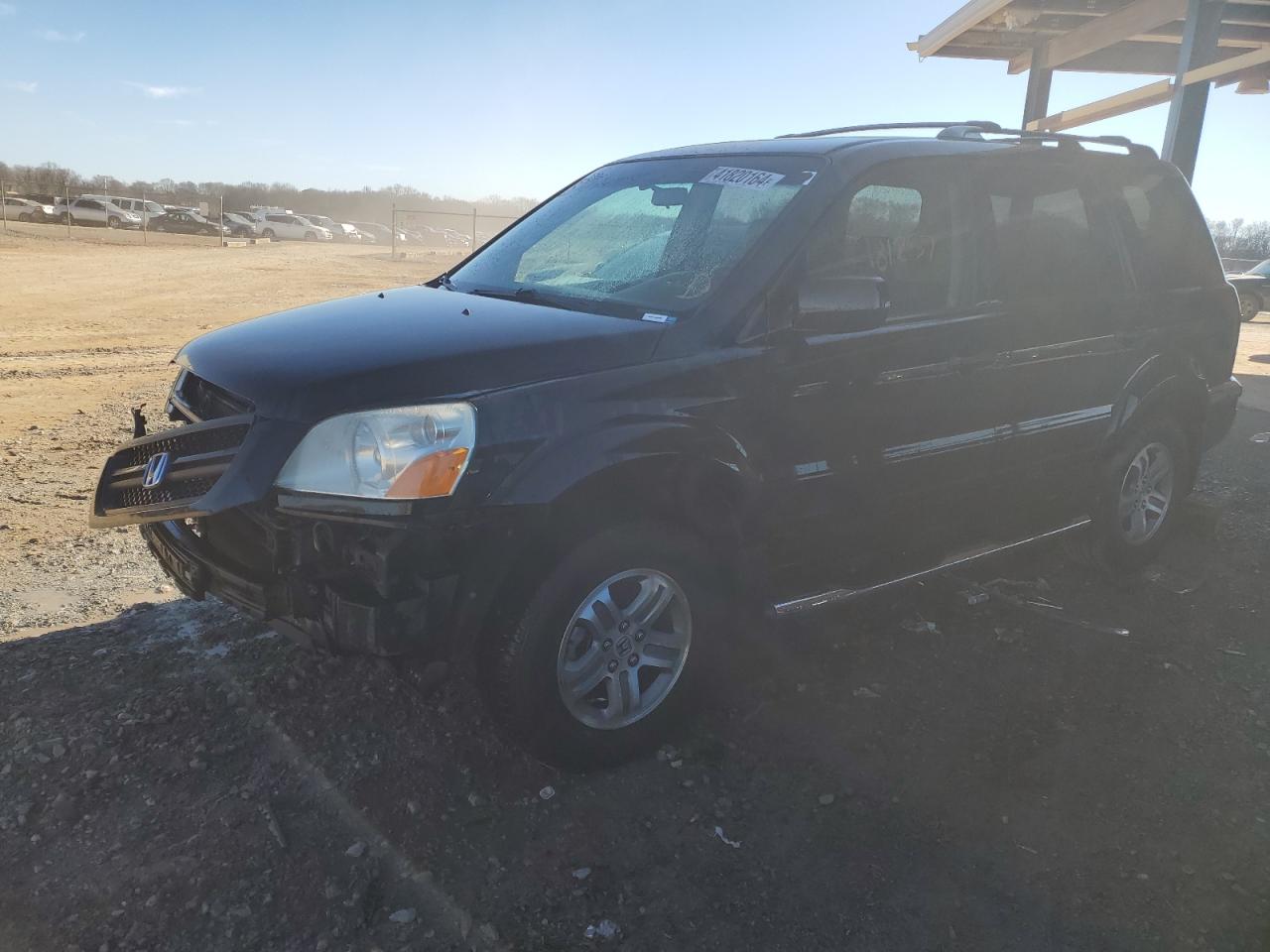 HONDA PILOT 2005 5fnyf18515b045836