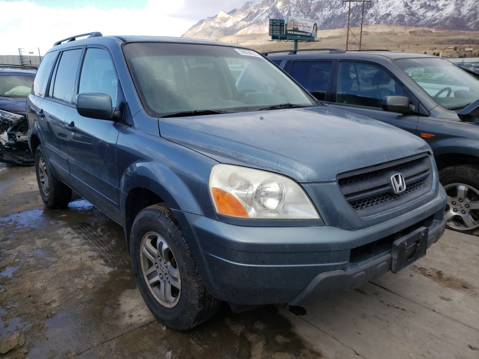 HONDA PILOT 2005 5fnyf18525b039527