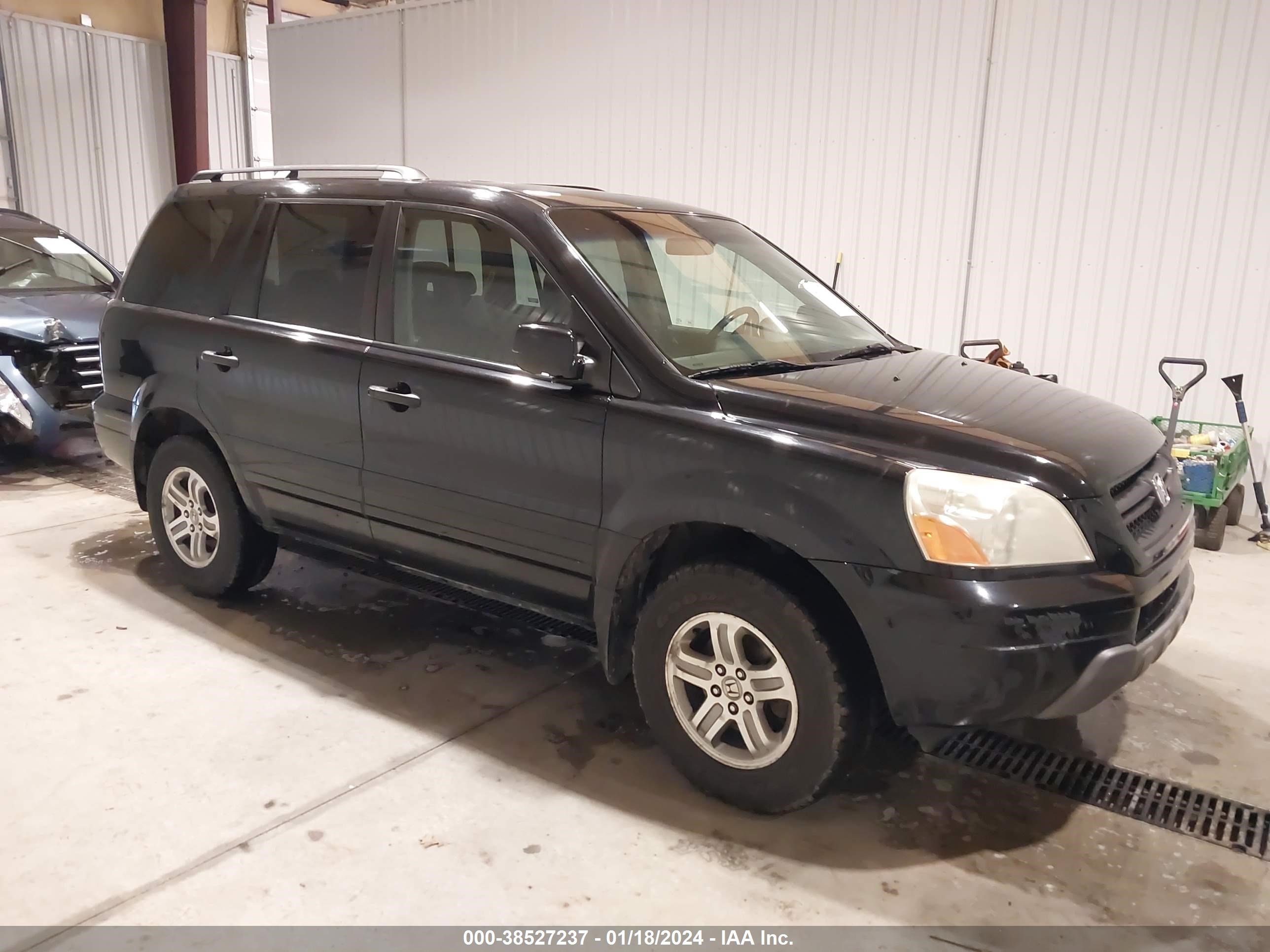 HONDA PILOT 2005 5fnyf18525b068123