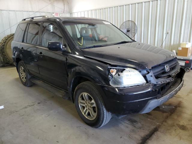 HONDA PILOT EXL 2004 5fnyf18544b011680