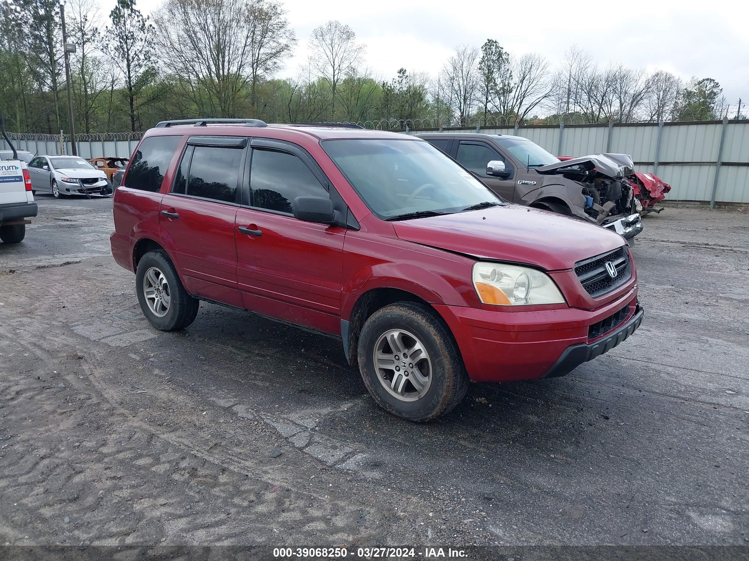 HONDA PILOT 2005 5fnyf18545b021899