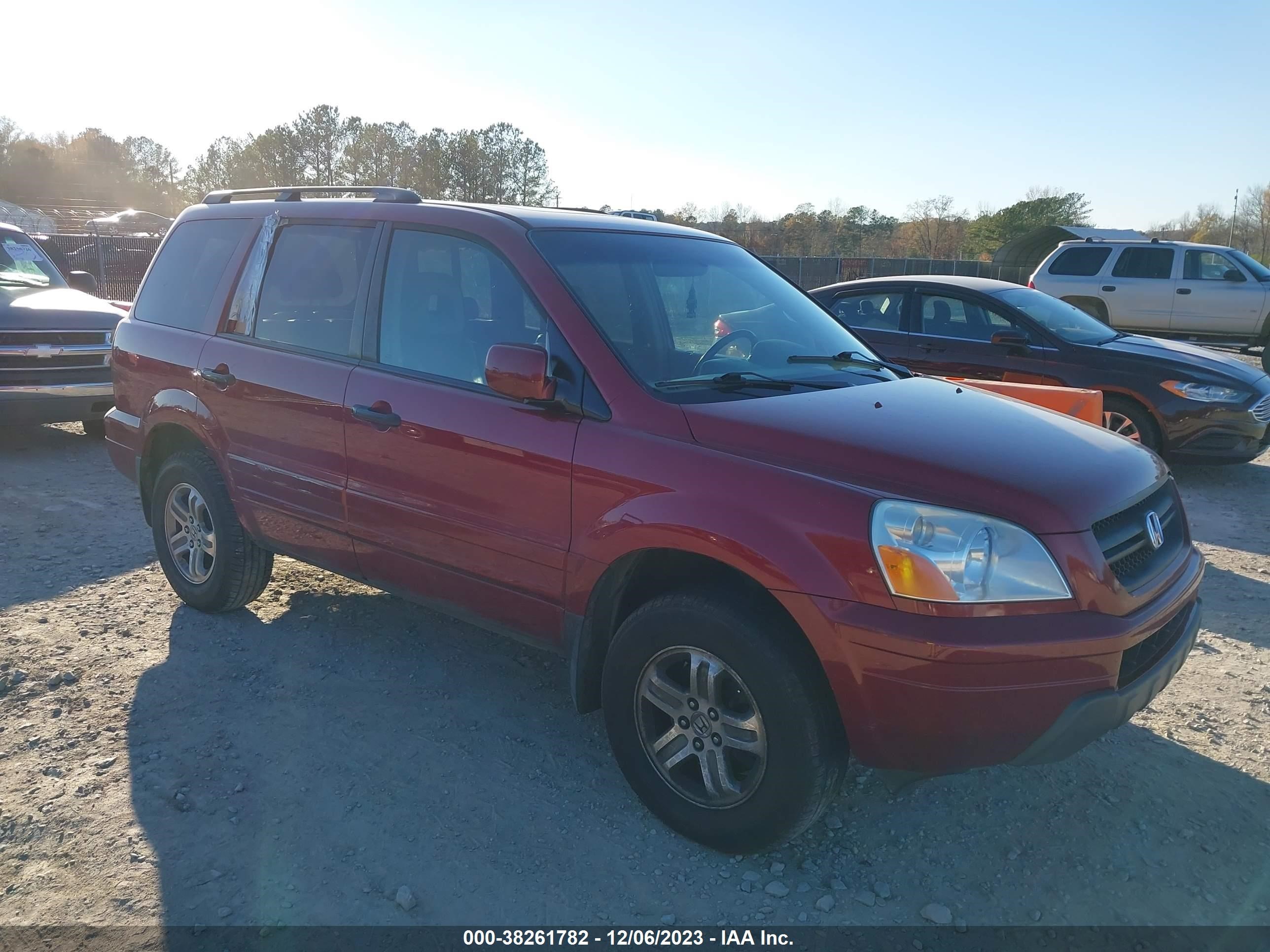 HONDA PILOT 2005 5fnyf18545b025905