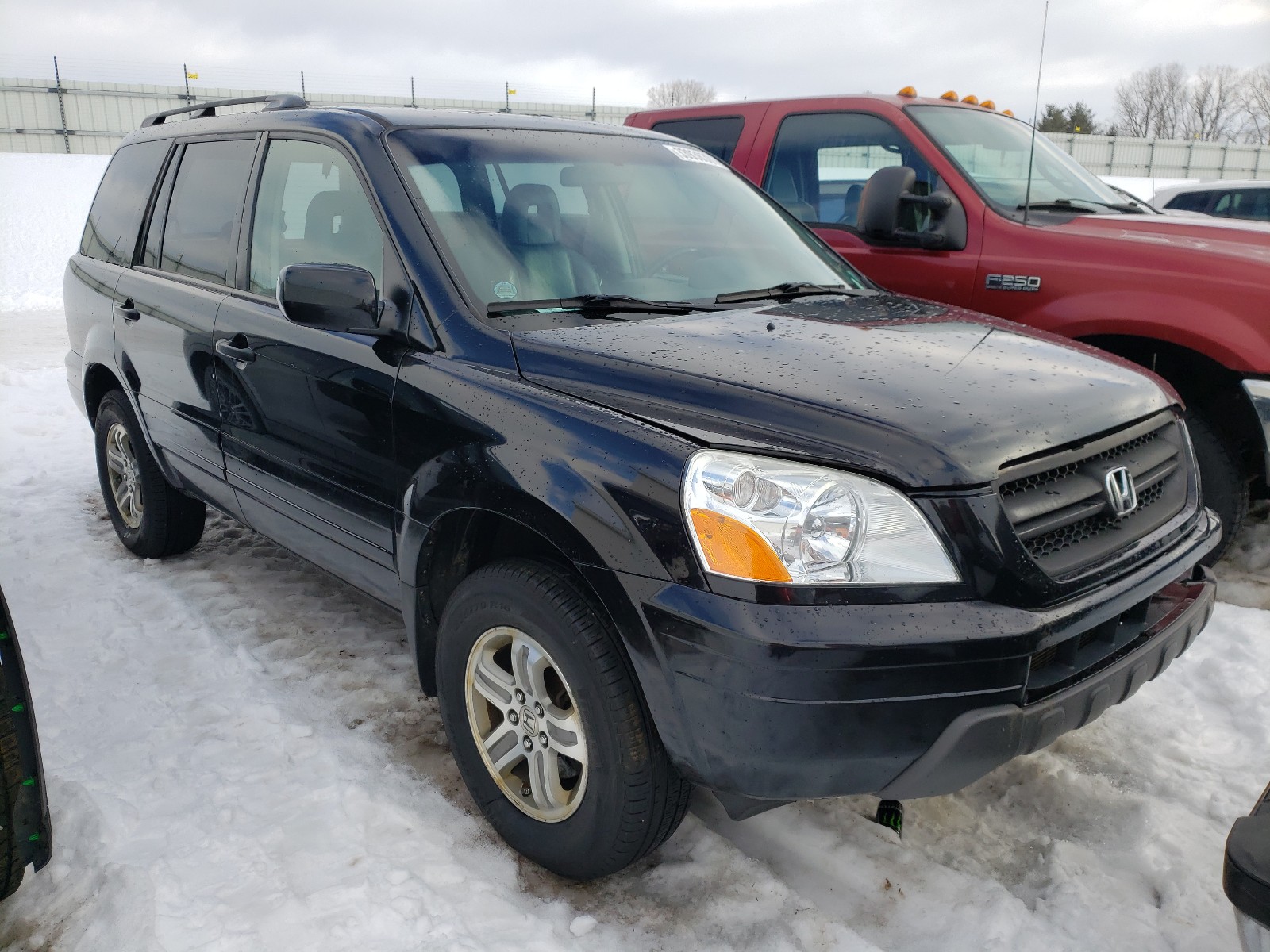 HONDA PILOT EXL 2005 5fnyf18545b054126