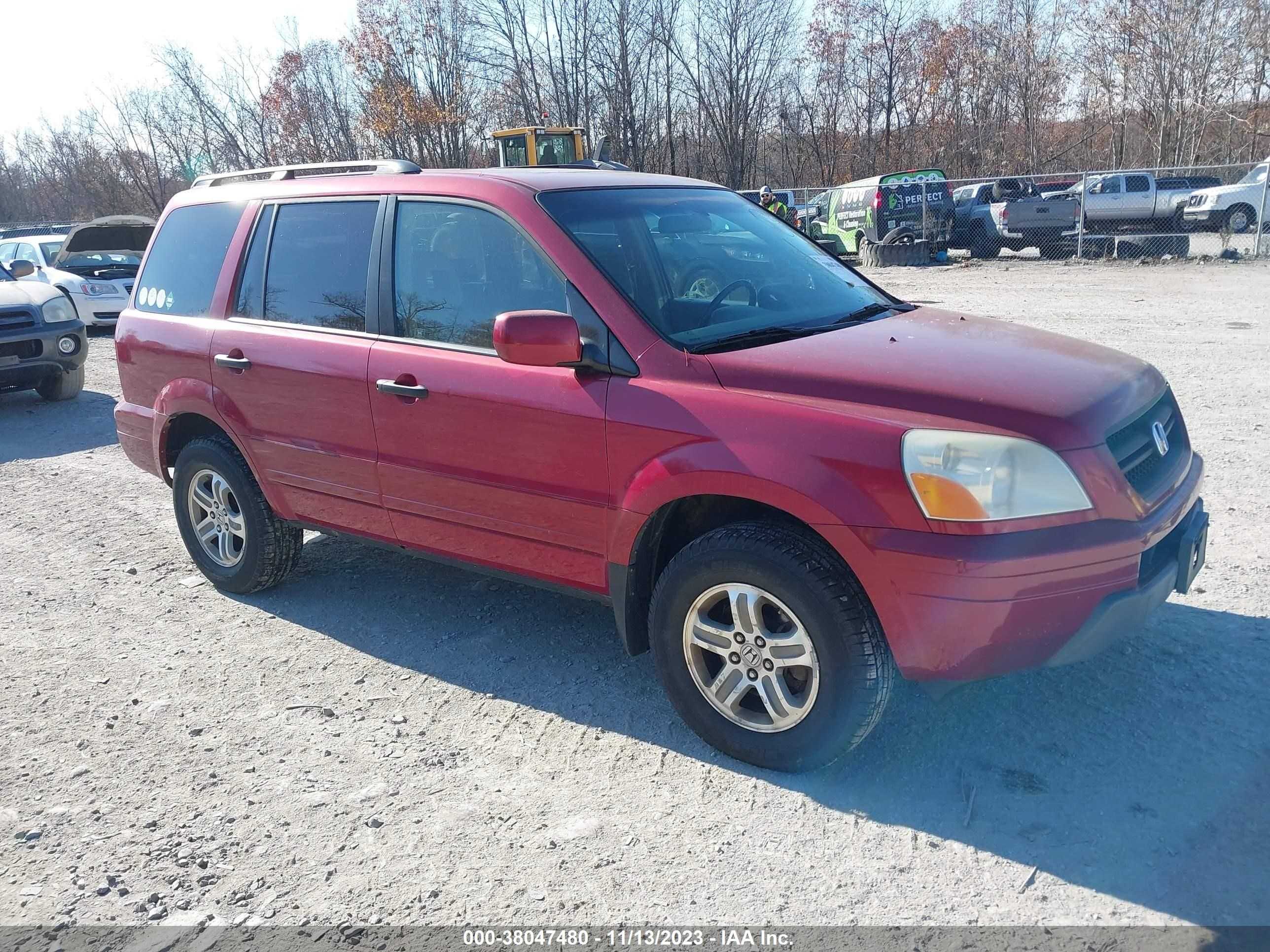 HONDA PILOT 2005 5fnyf18545b065904