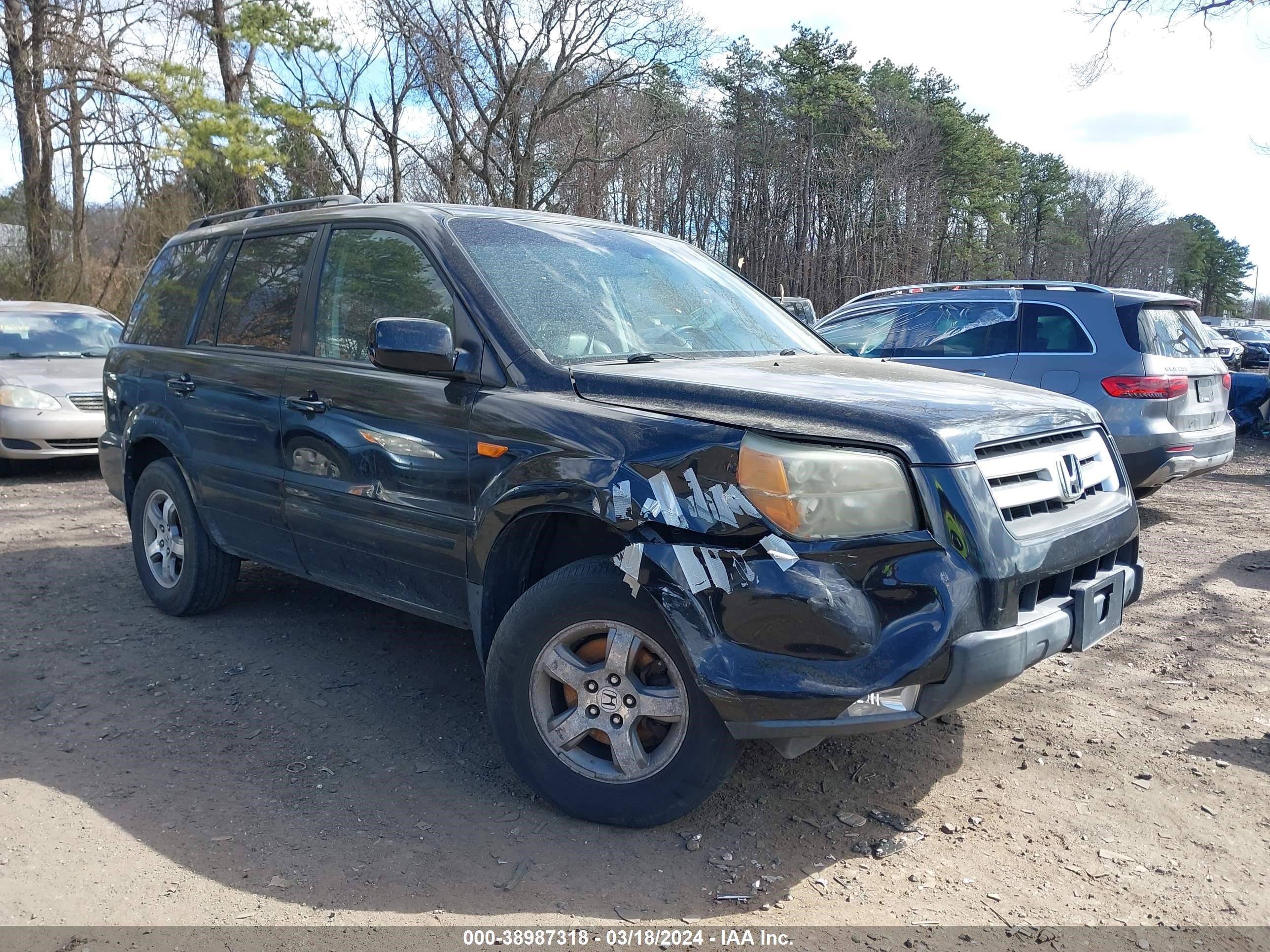 HONDA PILOT 2006 5fnyf18546b023038