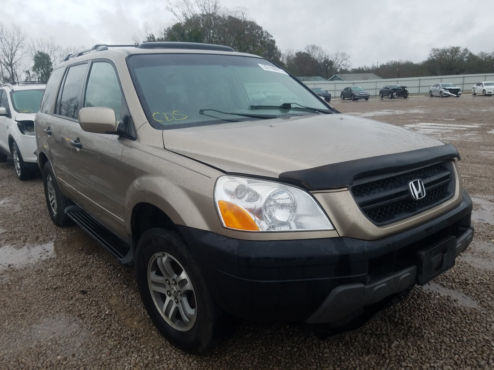 HONDA PILOT EXL 2005 5fnyf18555b019188