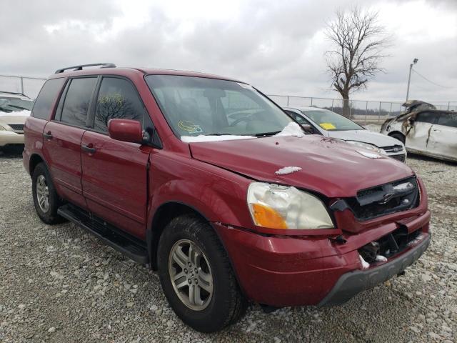 HONDA PILOT EXL 2005 5fnyf18555b034872