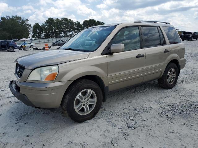 HONDA PILOT EXL 2005 5fnyf18555b037433