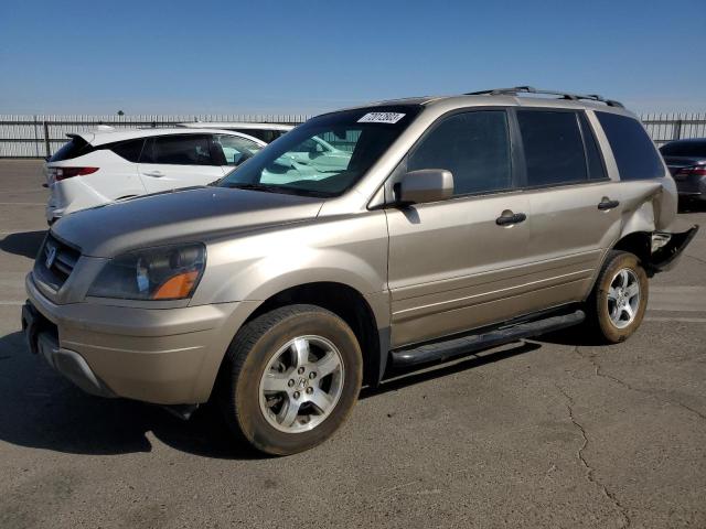 HONDA PILOT EXL 2005 5fnyf18555b043829