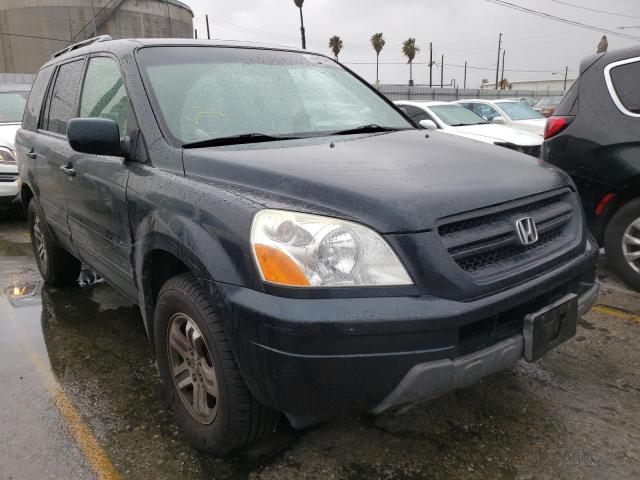 HONDA PILOT EXL 2005 5fnyf18555b055995