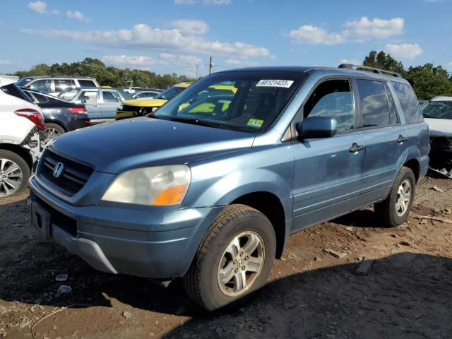 HONDA PILOT 2005 5fnyf18555b057696