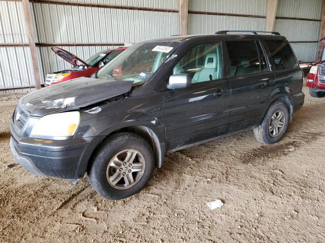 HONDA PILOT EXL 2005 5fnyf18565b013819