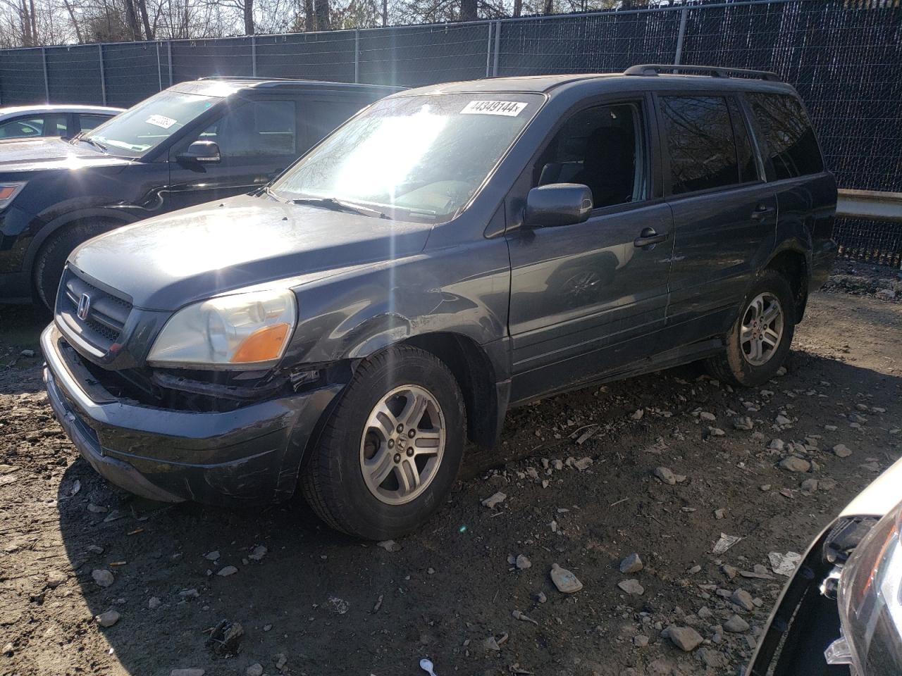 HONDA PILOT 2005 5fnyf18565b034461