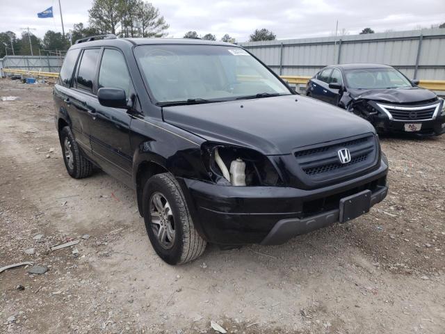 HONDA PILOT EXL 2005 5fnyf18565b043080