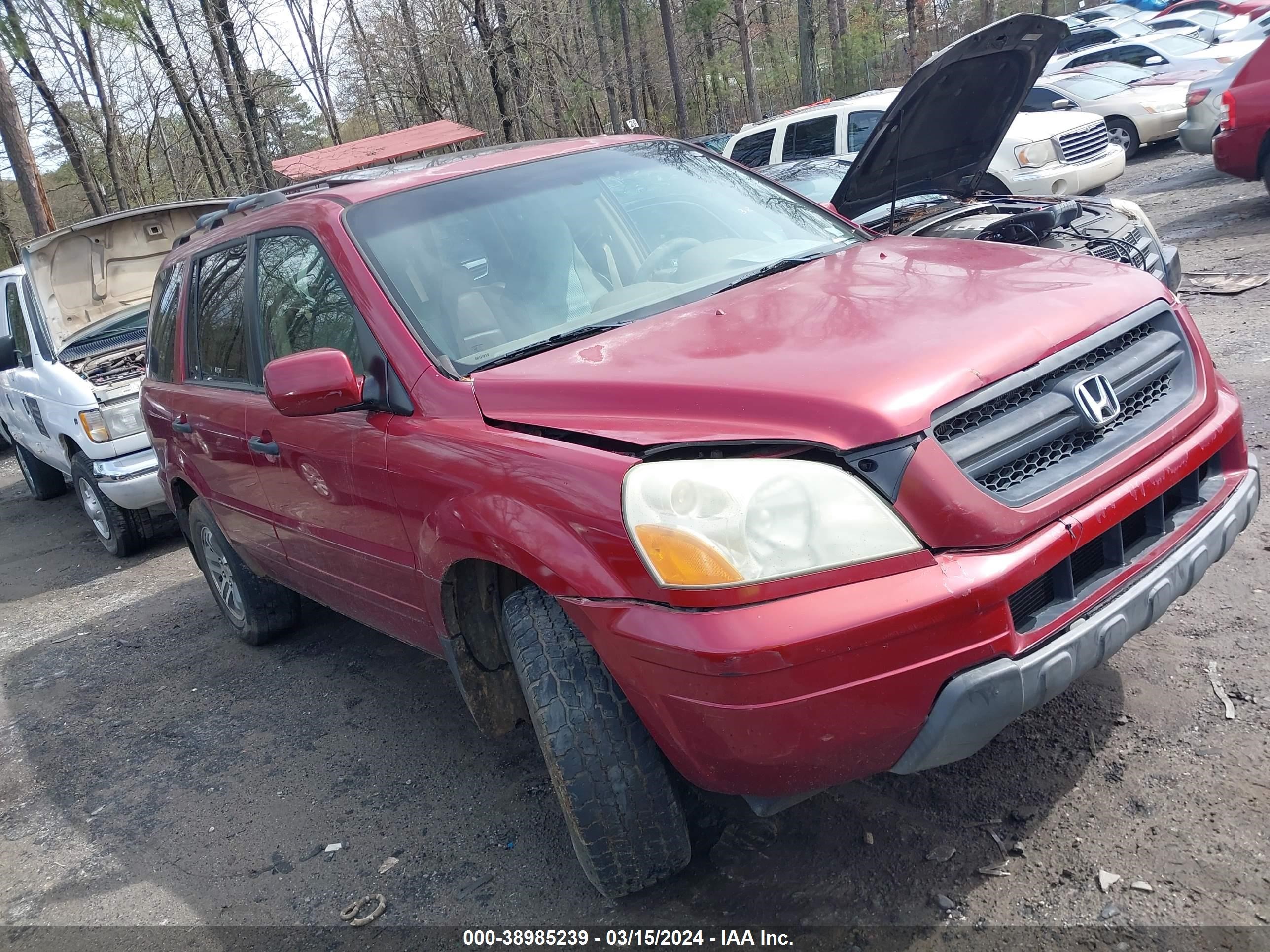 HONDA PILOT 2005 5fnyf18565b043211