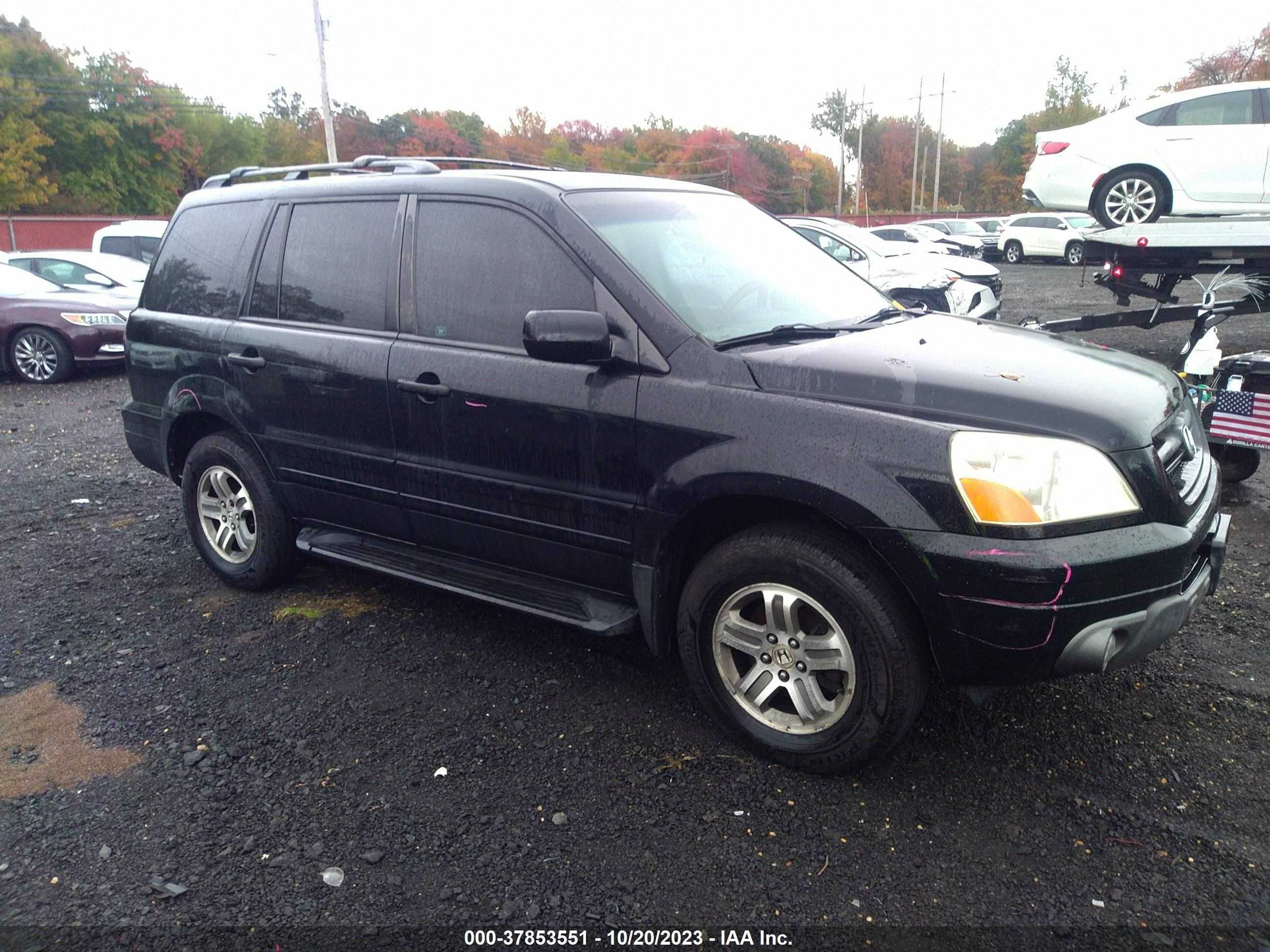 HONDA PILOT 2004 5fnyf18574b010099