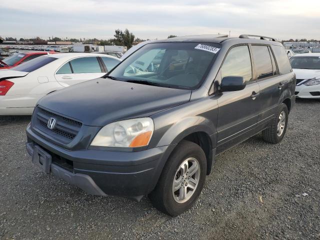 HONDA PILOT 2005 5fnyf18575b033481