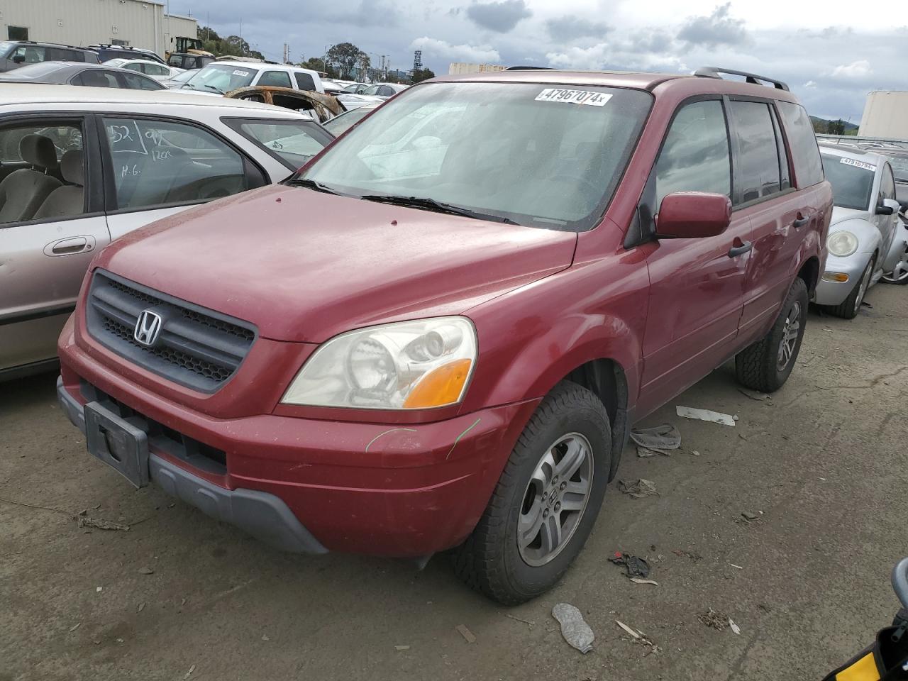 HONDA PILOT 2005 5fnyf18575b042133