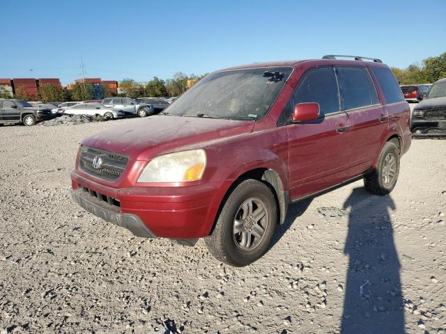 HONDA PILOT EXL 2005 5fnyf18575b043217