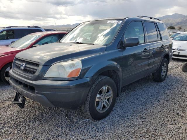 HONDA PILOT EXL 2005 5fnyf18585b003079