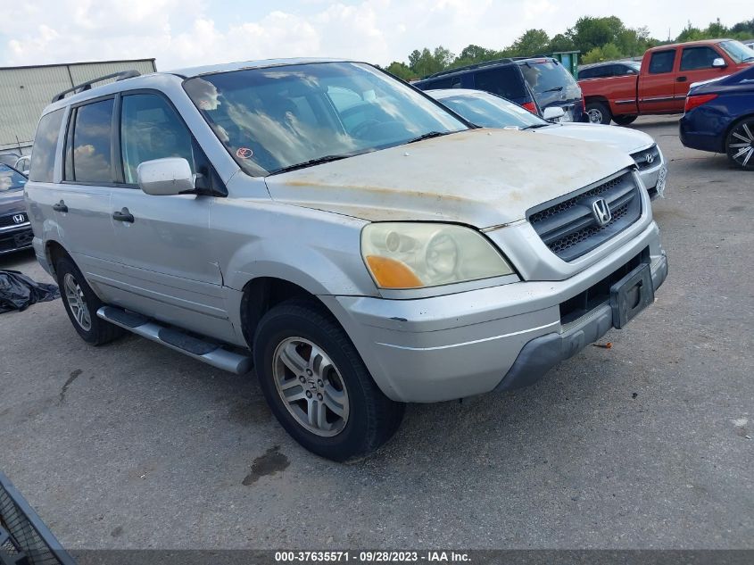 HONDA PILOT 2005 5fnyf18585b006421