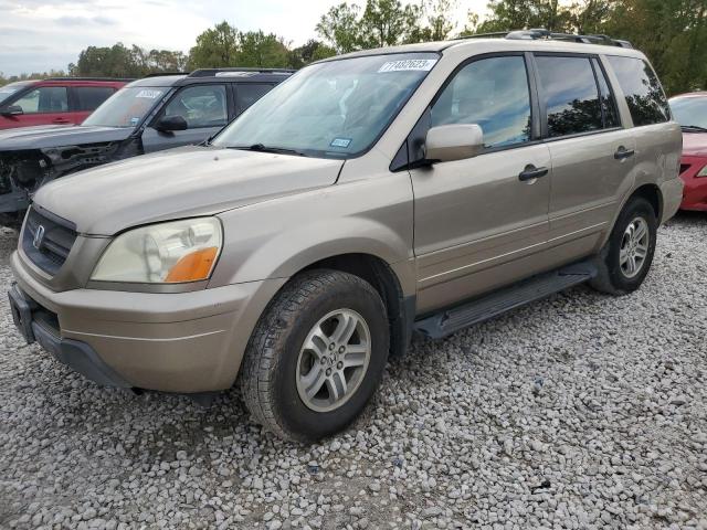 HONDA PILOT 2005 5fnyf18585b019833